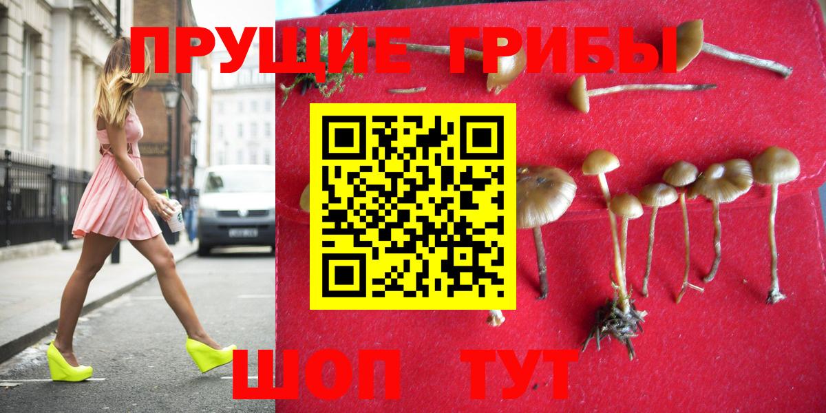 Галлюциногенные грибы прущие грибы  Вход с VPN  Зима  Галлюциногенные грибы Magic Shrooms 