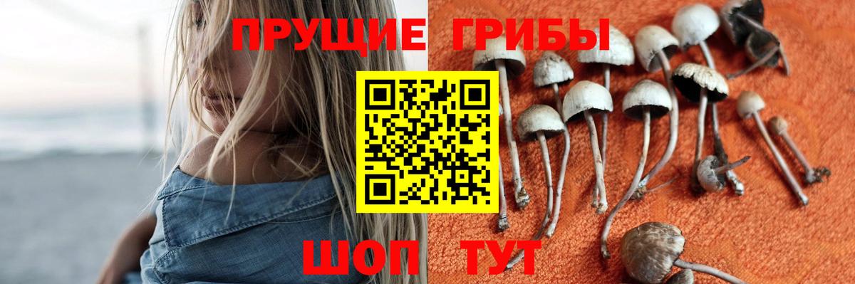 Псилоцибиновые грибы MAGIC MUSHROOMS Зима